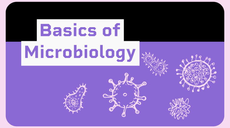 Basics of Microbiology Basics of Microbiology