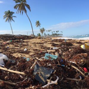 Plastic Pollution in Marine Environments: Innovative Solutions and Policy Implications